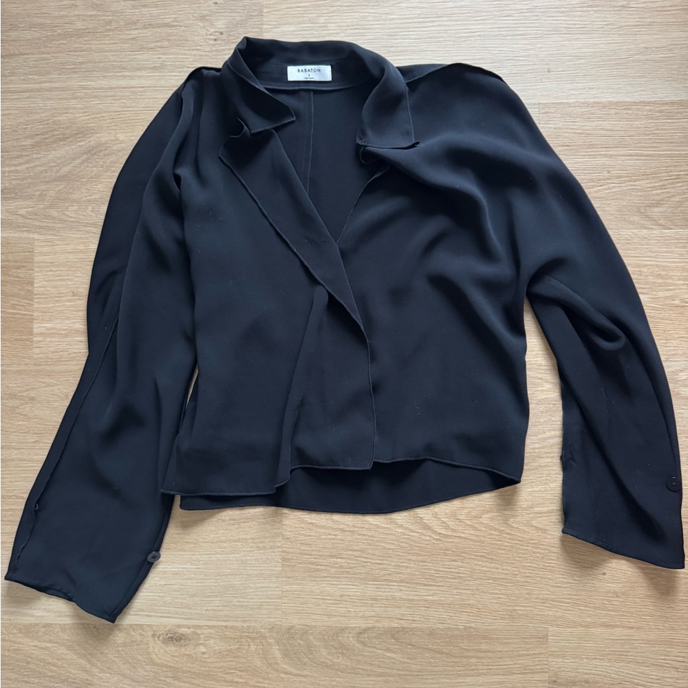 Babaton Aritzia Martin Blouse